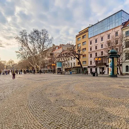 Unique Historic Palace Apartment Pressburg